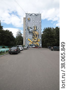 Карина, мурал на многоэтажном доме в Железнодорожном (2022 год). Редакционное фото, фотограф Дмитрий Неумоин / Фотобанк Лори