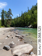 Beautiful summer landscape with fast river with stone and sandy beachl, clear blue water and green forest along banks on sunny day. Natural background. Ehe-Ukhgun river, Nilova Pustyn, Buryatia. Стоковое фото, фотограф Виктория Катьянова / Фотобанк Лори