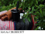 Яблоневый цвет на фоне скалки с толкушкой. Весна. Стоковое фото, фотограф Анатолий Матвейчук / Фотобанк Лори
