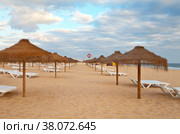 Portugal. Algarve. Beautiful Vilamoura Beach with umbrellas and sunbeds on the sandy shore (2012 год). Стоковое фото, фотограф Виктория Катьянова / Фотобанк Лори