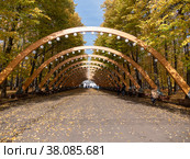 Sokolniki park, sunny autumn day wooden arch (2018 год). Стоковое фото, фотограф Фотограф / Фотобанк Лори