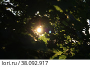 Солнечный просвет. Стоковое фото, фотограф Панкова Дорофея / Фотобанк Лори