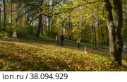 Петергоф, парк Александрия осенью. Люди прогуливаются по парку. Peterhof, Alexandria Park in autumn. People are walking in the park. (2021 год). Редакционное видео, видеограф Евгений Романов / Фотобанк Лори