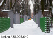 Аллея Летнего сада зимой. Санкт-Петербург (2012 год). Редакционное фото, фотограф Александр Щепин / Фотобанк Лори