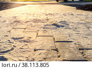 Paving slabs made of artificial stone at the stage of filling the joints with dry sifted sand, backlight. Стоковое фото, фотограф Дмитрий Коростылев / Фотобанк Лори