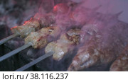 Close-up of lumpy kebab with tomato and ground kebab is grilled on the grill. Стоковое видео, видеограф Aleksey Kidisyuk / Фотобанк Лори