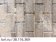 Paving slabs made of artificial stone at the stage of filling the joints with dry sifted sand. Стоковое фото, фотограф Дмитрий Коростылев / Фотобанк Лори