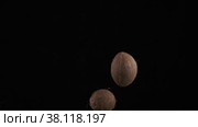 Flying up coconuts on the black background. Стоковое видео, видеограф Aleksey Kidisyuk / Фотобанк Лори