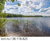 Landscape lake Haukivesi. Beautiful clouds. In the foreground grass. Стоковое фото, фотограф Михаил Аккуратoв / Фотобанк Лори