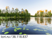 Scenery lake with water lilies at sunset. Стоковое фото, фотограф Михаил Аккуратoв / Фотобанк Лори