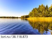 A view of a lake with a reflection of trees in the water. Стоковое фото, фотограф Михаил Аккуратoв / Фотобанк Лори