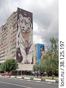 Международный фестиваль уличного искусства "Культурный код - 2022" в Балашихе, улица Новая, мкр-н Железнодорожный. Редакционное фото, фотограф stargal / Фотобанк Лори