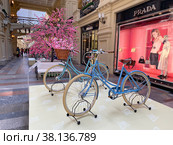 Велосипеды Pashley. Выставка "Эволюция велосипеда. История двухколесного счастья" в ГУМе, Москва (2022 год). Редакционное фото, фотограф Мария Кылосова / Фотобанк Лори