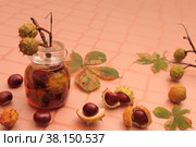Каштаны. Настой конского каштана.(Hippocastani semen)  Лекарственные растения.Препараты каштана применяются для лечения сосудистых заболеваний. Стоковое фото, фотограф Татьяна Бакуменко / Фотобанк Лори