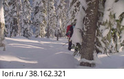 Ski tour in Siberia. A man skiing in a snowy forest. Стоковое видео, видеограф Chudakov_Ivan / Фотобанк Лори