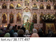 Епископ Балашихинский и Орехово-Зуевский Николай произносит речь в день нахождения мощей преподобного Сергия Радонежского в Савинском храме (2022 год). Редакционное фото, фотограф Дмитрий Неумоин / Фотобанк Лори