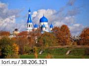 Церковь Покрова Пресвятой Богородицы. Гатчина (2022 год). Стоковое фото, фотограф Роман Рожков / Фотобанк Лори