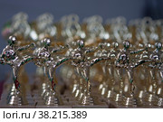 Prizes for karate competitions. Стоковое фото, фотограф Константин Шашков / Фотобанк Лори
