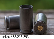Pistol sleeves. Стоковое фото, фотограф Константин Шашков / Фотобанк Лори