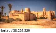 Monastir in Tunisia is an ancient city and popular tourist destination on Mediterranean Sea. Landscape view of main fortress of city near sea (2014 год). Стоковое фото, фотограф Aleksandr Golubev / Фотобанк Лори