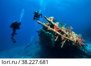 Scuba divers explore sunken ships at the bottom of the sea. Marine life underwater in blue ocean. Observation animal world. Scuba diving adventure in Red sea, coast Africa. Стоковое фото, фотограф Aleksandr Golubev / Фотобанк Лори