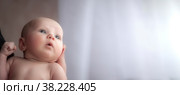 Close-up of newborn's head in father's hand. Dad holds head of one-month-old baby. Emotions on child's face. Small head of child in hands of parent. Concept of care of newborn child. Стоковое фото, фотограф Aleksandr Golubev / Фотобанк Лори
