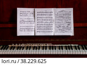Flute with piano. Flute on piano keys. Wind instrument for musical design of concert creativity. Стоковое фото, фотограф Aleksandr Golubev / Фотобанк Лори