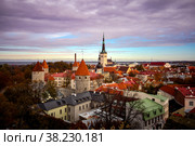 Aerial urban landscape with medieval Old town, St. Olaf's Baptist Church and Tallinn city wall, beautiful panoramic view of the city of Tallinn, Estonia (2013 год). Стоковое фото, фотограф Aleksandr Golubev / Фотобанк Лори