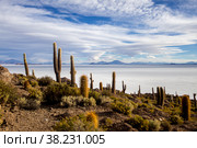 Uyuni salt marsh in Bolivia beautiful views sunsets and sunrises (2015 год). Стоковое фото, фотограф Aleksandr Golubev / Фотобанк Лори