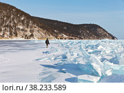 Frozen Lake Baikal on a cold winter day. A tourist with a camera travels on the ice of the lake near the edge of an impassable hummock field with beautiful pieces of transparent blue ice. Winter holidays. Стоковое фото, фотограф Виктория Катьянова / Фотобанк Лори