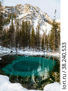 A unique emerald-colored thermal lake in the Ulagan district of the Altai Republic. Russia. Стоковое фото, фотограф Наталья Волкова / Фотобанк Лори