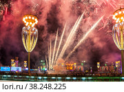 Новогодний фейерверк на ВДНХ (2020 год). Редакционное фото, фотограф Алёшина Оксана / Фотобанк Лори
