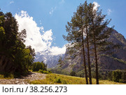In a mountain gorge in the Caucasus. Стоковое фото, фотограф Андрей Ситников / Фотобанк Лори