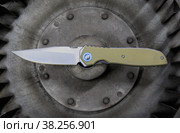 Knife on a vintage industrial fan. Стоковое фото, фотограф Юрий Бизгаймер / Фотобанк Лори
