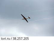 Польский планер высшего пилотажа MDM-1 Fox на Международном авиационно-космическом салоне МАКС-2021. Редакционное фото, фотограф Free Wind / Фотобанк Лори