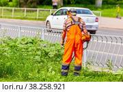Russia, Samara, June 2021: Forestry workers mow the grass on the lawn along the road. Редакционное фото, фотограф Акиньшин Владимир / Фотобанк Лори