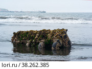 Marine diesel engine washed ashore after a shipwreck, covered with biofouling. Стоковое фото, фотограф Евгений Харитонов / Фотобанк Лори