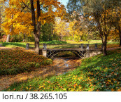 Екатерининский парк (Царское Село). Мост на Верхних прудах. Catherine Park (Tsarskoye Selo). Bridge on the Upper Ponds. (2021 год). Редакционное фото, фотограф Евгений Романов / Фотобанк Лори