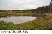 Pond with wooden bridges in autumn Meshchersky natural park, Moscow, Russia (2021 год). Стоковое фото, фотограф Алексей Антипов / Фотобанк Лори