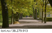 Екатерининский парк (Царское Село). Дубовая аллея. Catherine Park (Tsarskoye Selo). Oak Alley. (2021 год). Редакционное видео, видеограф Евгений Романов / Фотобанк Лори