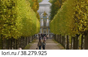 Екатерининский парк (Царское Село). Туристы на Эрмитажной аллее. Catherine Park (Tsarskoye Selo). Tourists on the Hermitage Alley. (2021 год). Редакционное видео, видеограф Евгений Романов / Фотобанк Лори