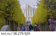 Екатерининский парк (Царское Село). Туристы на Эрмитажной аллее. Catherine Park (Tsarskoye Selo). Tourists on the Hermitage Alley. (2021 год). Редакционное видео, видеограф Евгений Романов / Фотобанк Лори