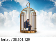 Business people and golden cage concept. Стоковое фото, фотограф Elnur / Фотобанк Лори