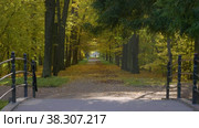 Екатерининский парк (Царское Село). Дубовая аллея. Catherine Park (Tsarskoye Selo). The Oak Alley. (2021 год). Редакционное видео, видеограф Евгений Романов / Фотобанк Лори