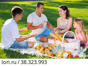 Cheerful woman picnicking with children and husband. Стоковое фото, фотограф Яков Филимонов / Фотобанк Лори
