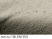 Bird tracks . Photo. Black and white. Стоковая иллюстрация, иллюстратор Ирина Кротова / Фотобанк Лори