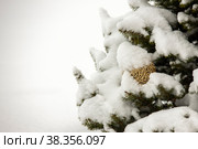 Red Christmas ball. Стоковое фото, фотограф Константин Шашков / Фотобанк Лори