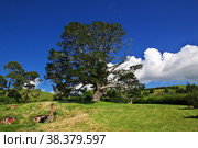 Hobbiton, New Zealand - 15 Dec 2018. Hobbiton is theme Park in New Zealand. Редакционное фото, фотограф Сергей Стрелков / Фотобанк Лори