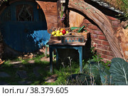 Hobbiton, New Zealand - 15 Dec 2018. Hobbiton is theme Park in New Zealand. Редакционное фото, фотограф Сергей Стрелков / Фотобанк Лори
