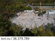 Thermal Park in Rotorua, New Zealand. Стоковое фото, фотограф Сергей Стрелков / Фотобанк Лори